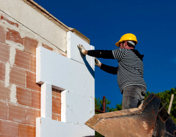 Best Energy-efficient Insulation  in Rome, GA