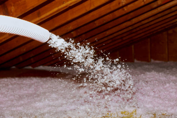 Best Insulation Removal  in Rome, GA