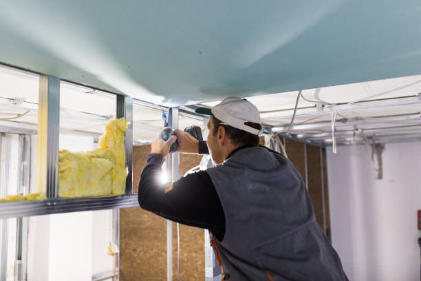 Best Wall Insulation Contractor  in Rome, GA