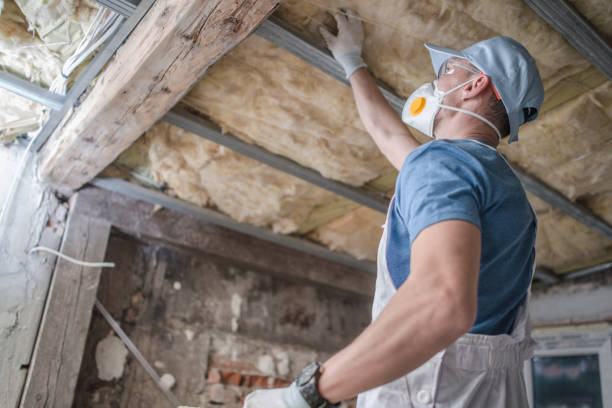 Best Local Insulation Services  in Rome, GA