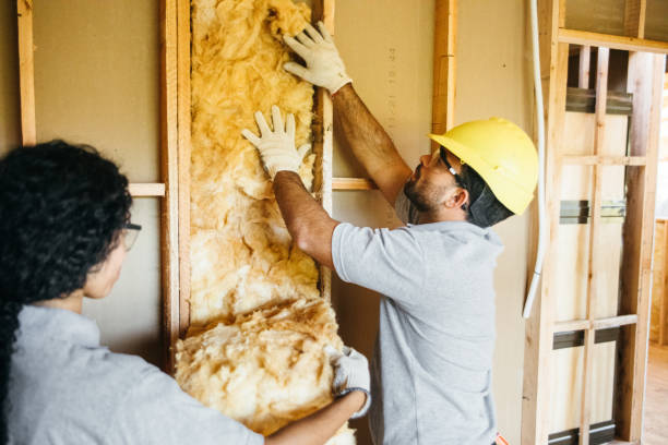 Best Insulation Contractors for Homes  in Rome, GA